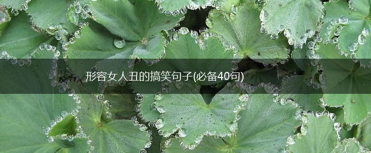 形容女人丑的搞笑句子(必备40句),第1张
