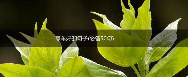 夸车好的句子(必备50句),第1张