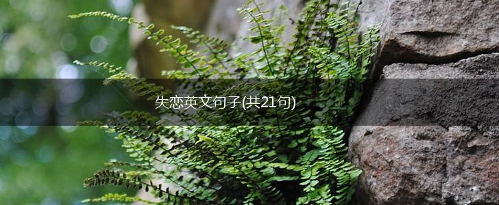 失恋英文句子(共21句),第1张