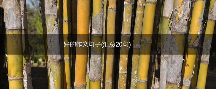 好的作文句子(汇总20句),第1张
