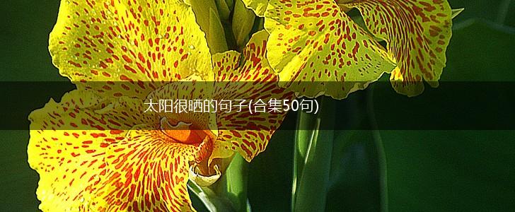 太阳很晒的句子(合集50句),第1张
