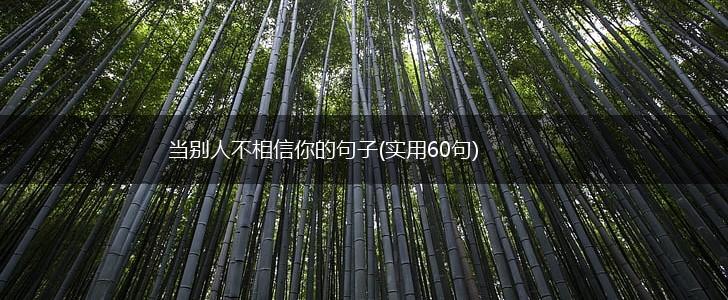 当别人不相信你的句子(实用60句),第1张