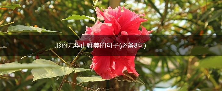 形容九华山唯美的句子(必备8句),第1张