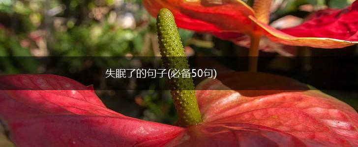 失眠了的句子(必备50句),第1张