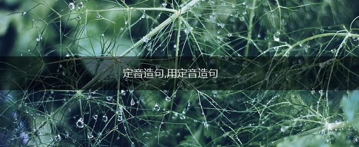 定音造句,用定音造句,第1张