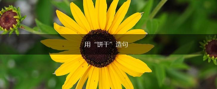用“饼干”造句,第1张