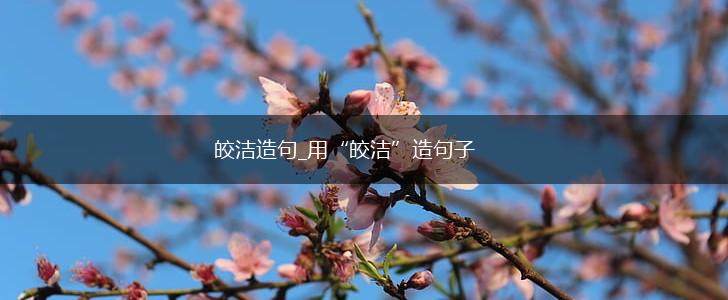 皎洁造句_用“皎洁”造句子,第1张 皎洁造句_用“皎洁”造句子,第1张