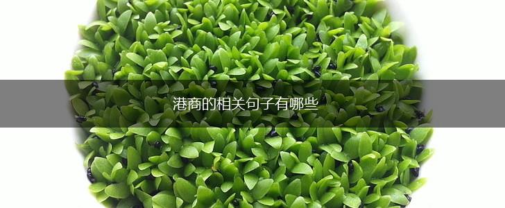 港商的相关句子有哪些,第1张 港商的相关句子有哪些,第1张