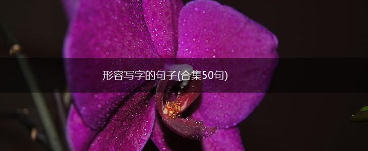 形容写字的句子(合集50句),第1张