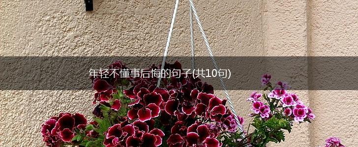 年轻不懂事后悔的句子(共10句),第1张