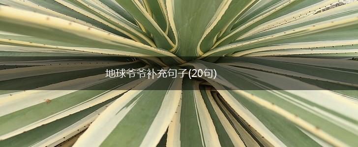 地球爷爷补充句子(20句),第1张