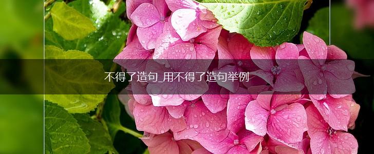 不得了造句_用不得了造句举例,第1张