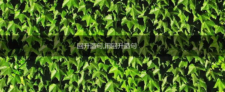 回升造句,用回升造句,第1张 回升造句,用回升造句,第1张