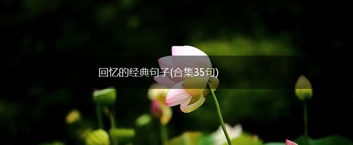 回忆的经典句子(合集35句),第1张