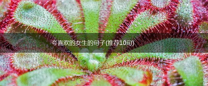 夸喜欢的女生的句子(推荐10句),第1张