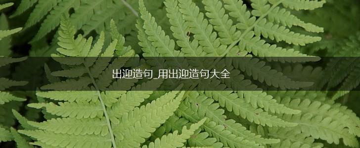 出迎造句_用出迎造句大全,第1张