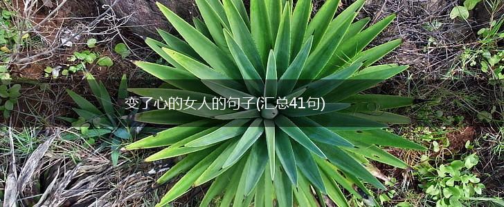 变了心的女人的句子(汇总41句),第1张