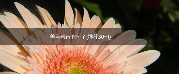 善言善行的句子(推荐30句),第1张