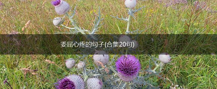 委屈心疼的句子(合集20句),第1张
