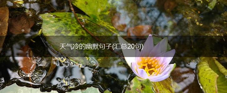 天气冷的幽默句子(汇总20句),第1张