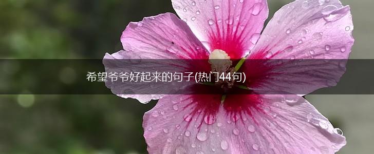 希望爷爷好起来的句子(热门44句),第1张