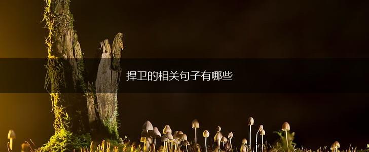 捍卫的相关句子有哪些,第1张 捍卫的相关句子有哪些,第1张