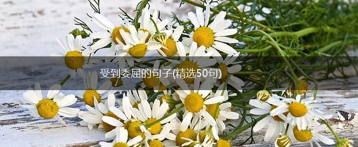 受到委屈的句子(精选50句),第1张