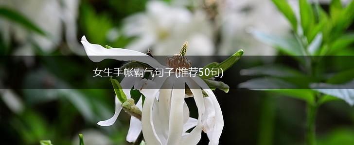 女生手帐霸气句子(推荐50句),第1张