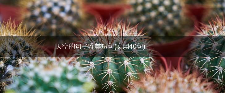 天空的句子唯美短句(实用40句),第1张