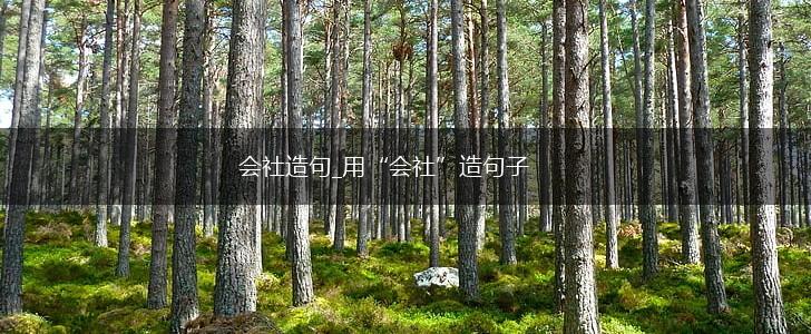 会社造句_用“会社”造句子,第1张 会社造句_用“会社”造句子,第1张