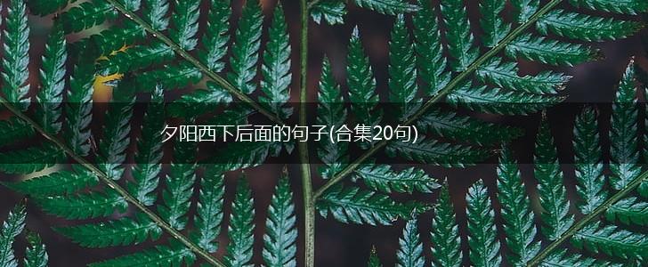 夕阳西下后面的句子(合集20句),第1张