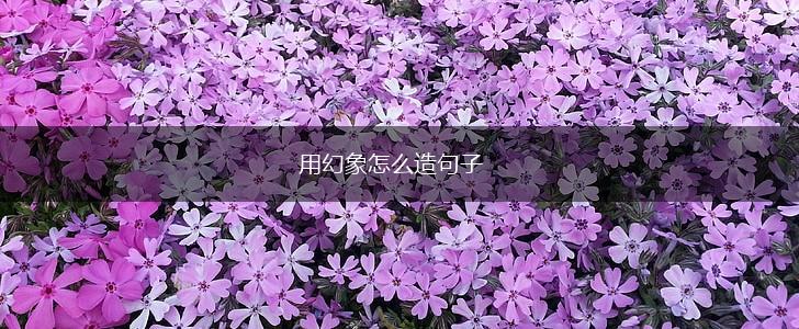 用幻象怎么造句子,第1张 用幻象怎么造句子,第1张
