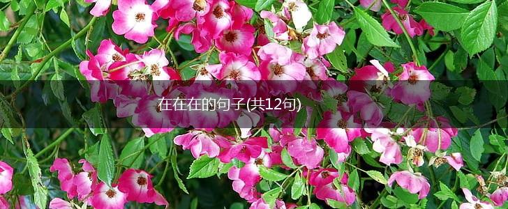 在在在的句子(共12句),第1张