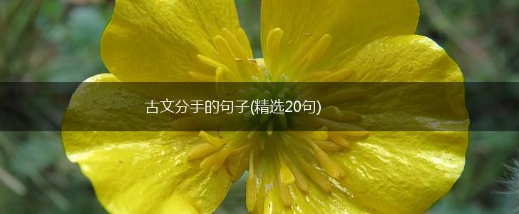 古文分手的句子(精选20句),第1张
