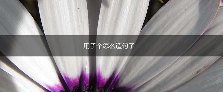 用子个怎么造句子,第1张