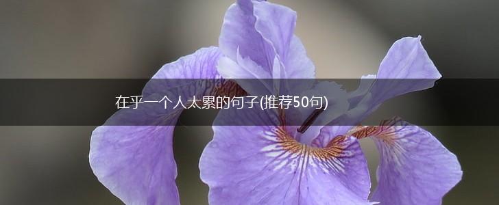 在乎一个人太累的句子(推荐50句),第1张