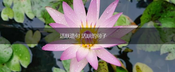 活跃造句 活跃的句子,第1张 活跃造句 活跃的句子,第1张