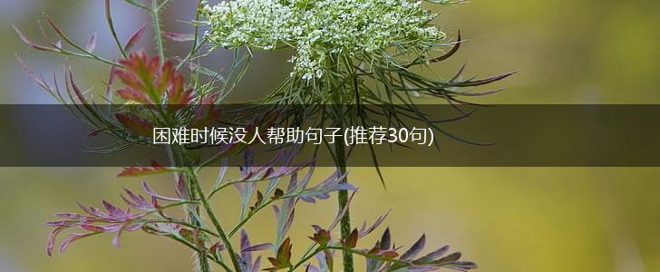 困难时候没人帮助句子(推荐30句),第1张