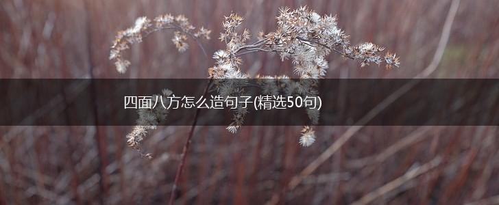 四面八方怎么造句子(精选50句),第1张