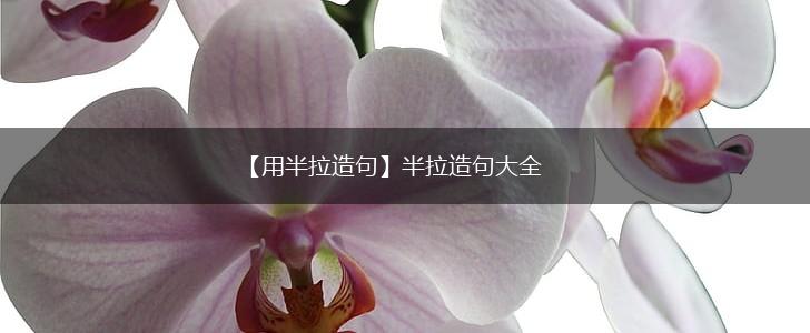 【用半拉造句】半拉造句大全,第1张