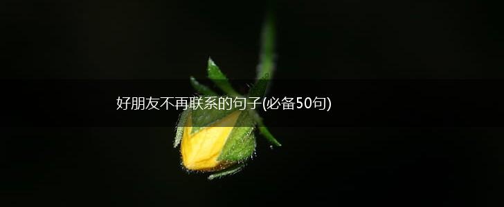好朋友不再联系的句子(必备50句),第1张
