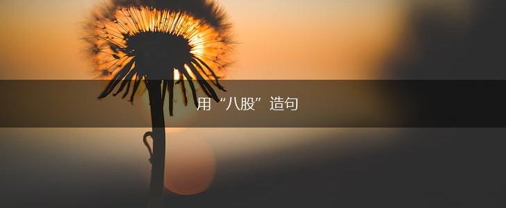 用“八股”造句,第1张