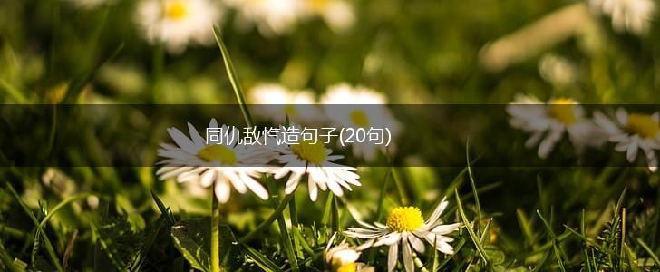同仇敌忾造句子(20句),第1张