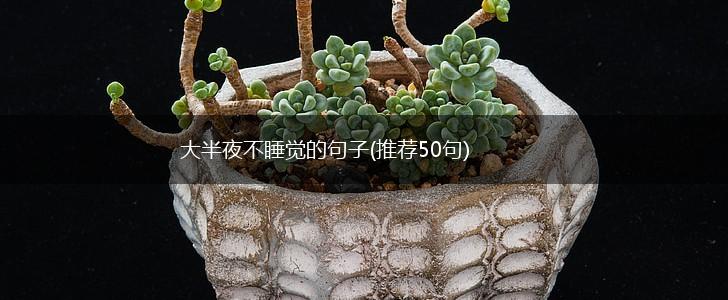 大半夜不睡觉的句子(推荐50句),第1张