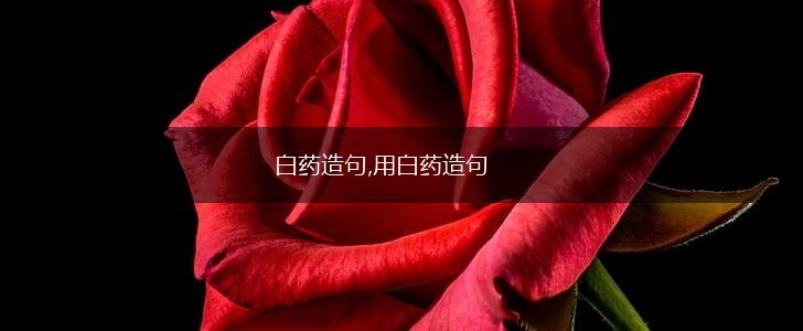 白药造句,用白药造句,第1张