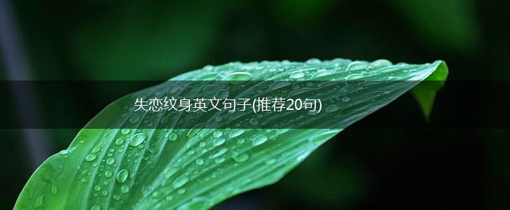 失恋纹身英文句子(推荐20句),第1张