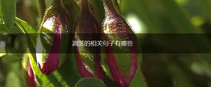 凋落的相关句子有哪些,第1张