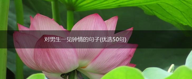 对男生一见钟情的句子(优选50句),第1张