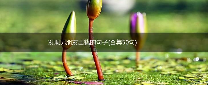 发现男朋友出轨的句子(合集50句),第1张