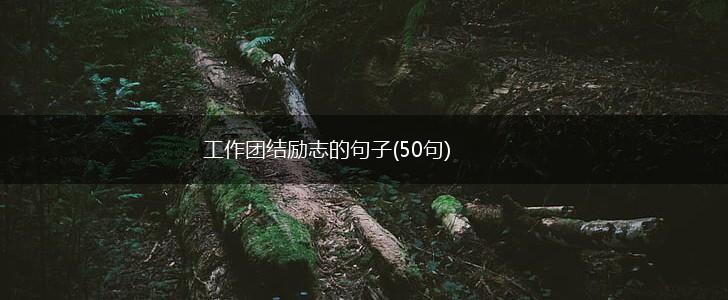 工作团结励志的句子(50句),第1张